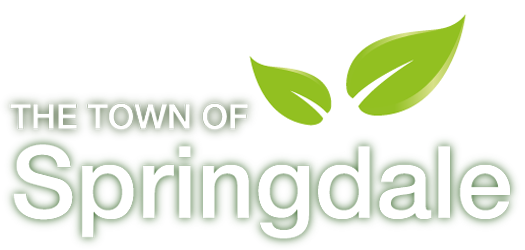 Town of Springdale
